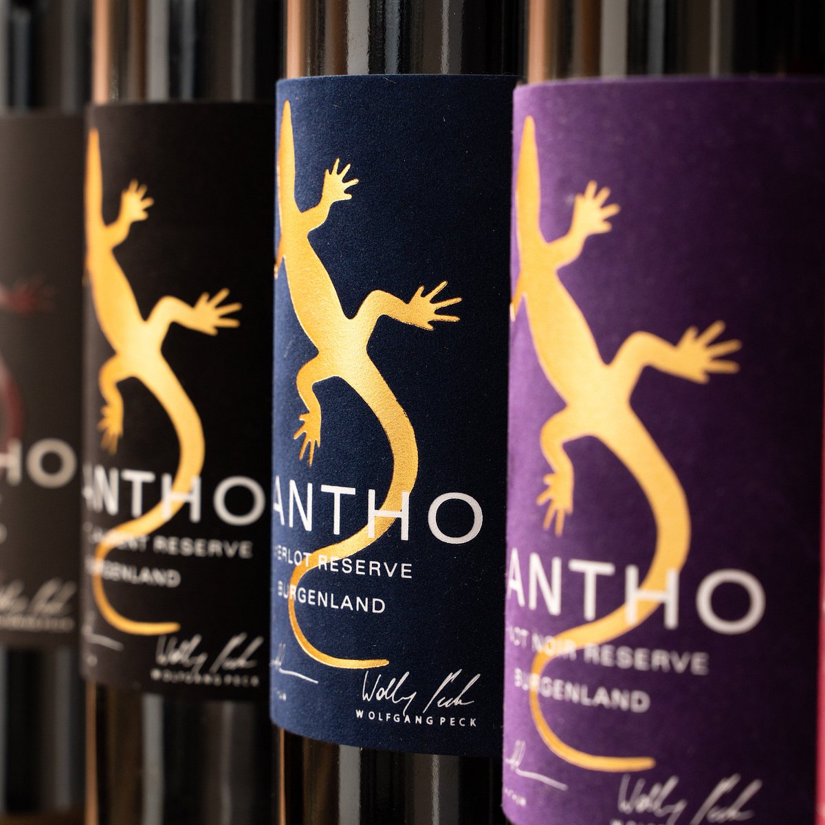 Zanthoアイキャッチ