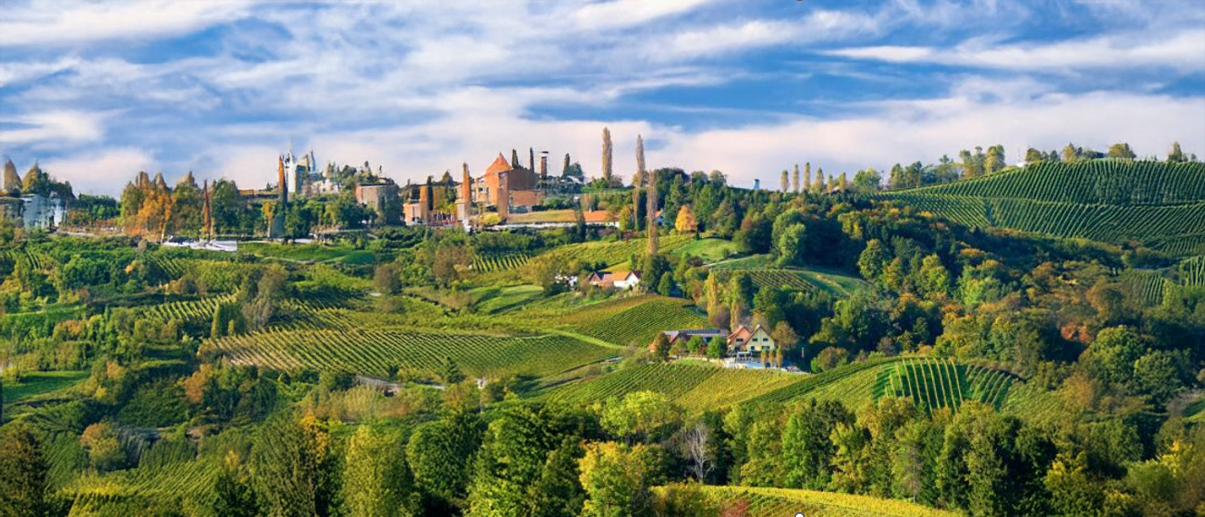 特集サンプルワイン街道1